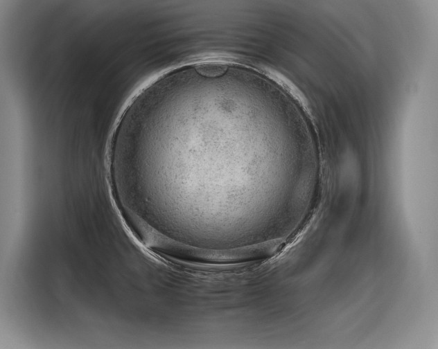 X0000116641429200912141226