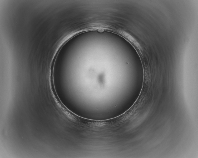 X0000116641431200912141226