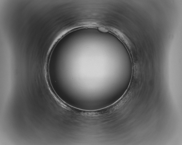 X0000116641432200912141226