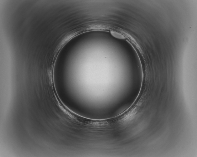 X0000116641433200912141226