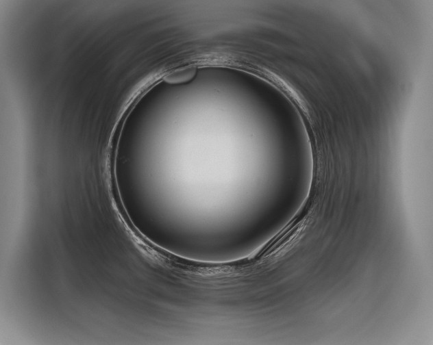 X0000116641434200912141226