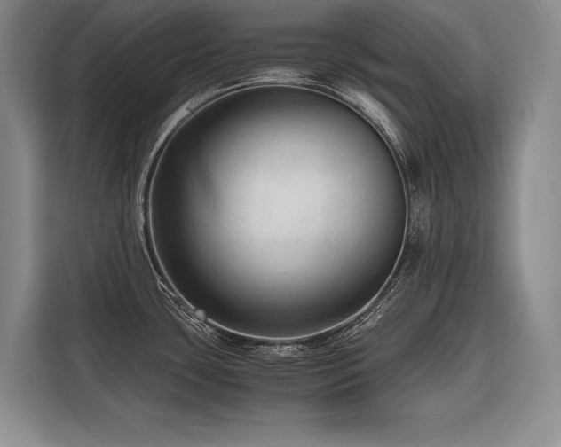 X0000116641435200912141226