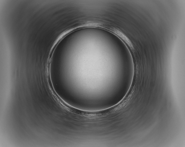 X0000116641436200912141226