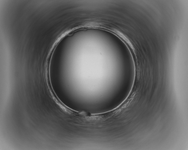 X0000116641437200912141226