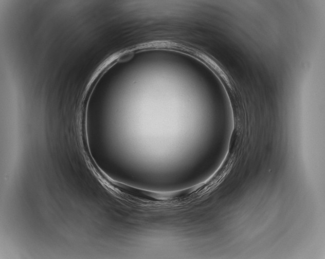 X0000116641438200912141226