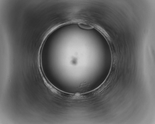 X0000116641439200912141226