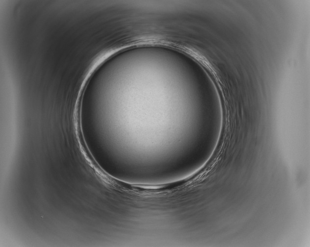 X0000116641440200912141226