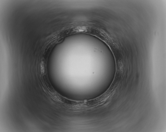 X0000116641442200912141226