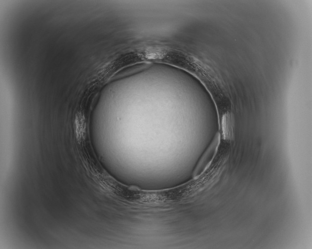 X0000116641443200912141226