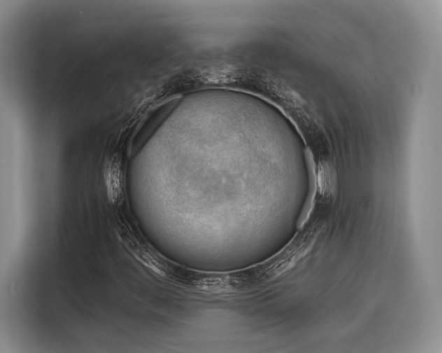 X0000116641444200912141226