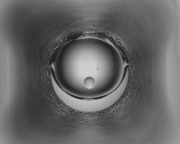 X0000116641445200912141226