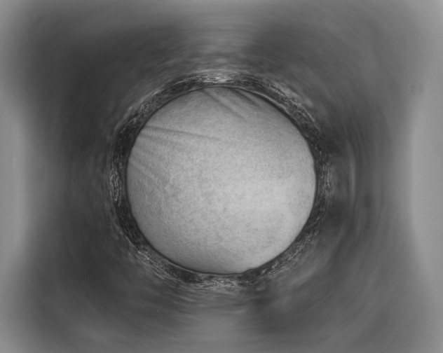 X0000116641446200912141226