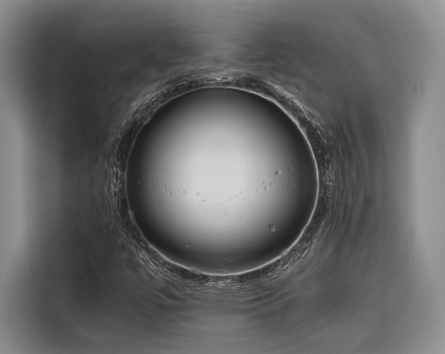 X0000116641447200912141226