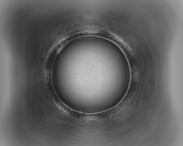 X0000116641448200912141226