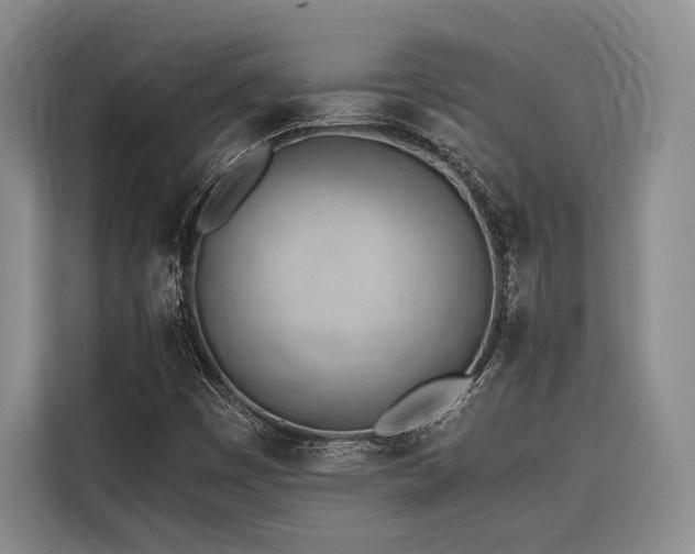 X0000116641449200912141226