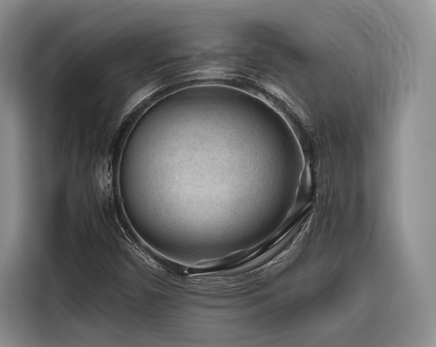 X0000116641450200912141226