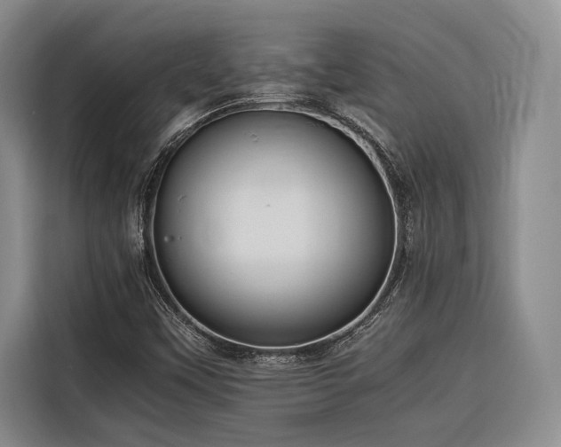 X0000116641451200912141226