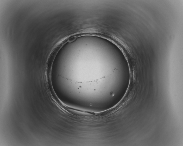 X0000116641452200912141226