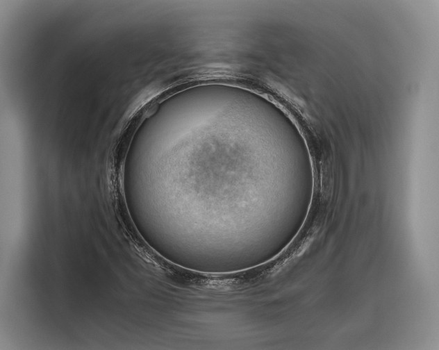 X0000116641453200912141226