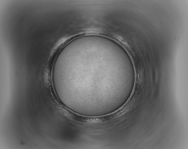 X0000116641454200912141226