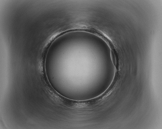 X0000116641455200912141226