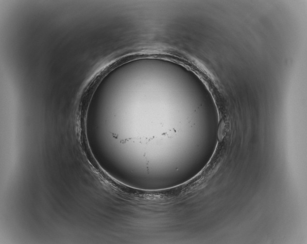 X0000116641456200912141226