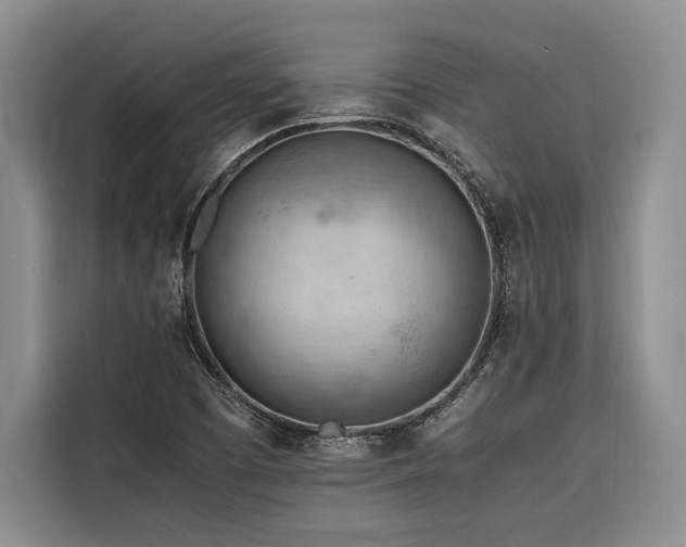 X0000116641457200912141226