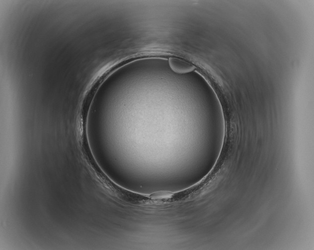 X0000116641461200912141226