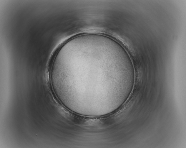 X0000116641462200912141226