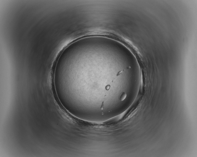 X0000116641463200912141226