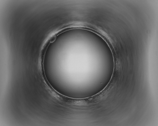 X0000116641464200912141226