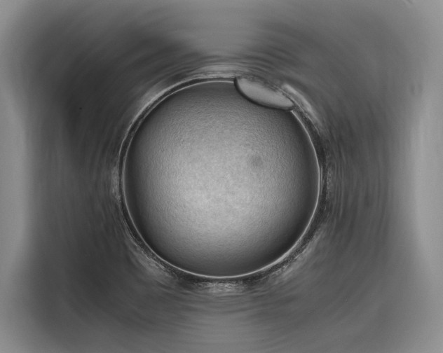 X0000116641465200912141226