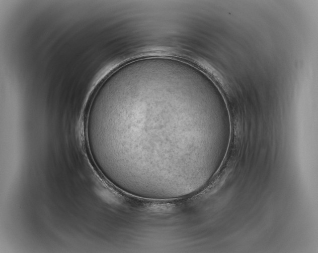 X0000116641466200912141225