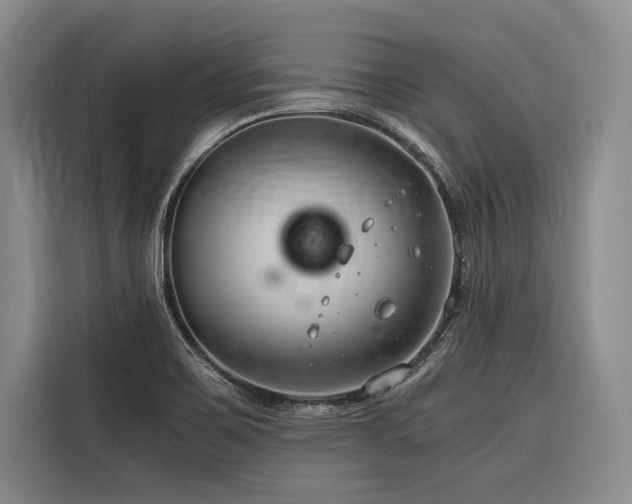 X0000116641467200912141225