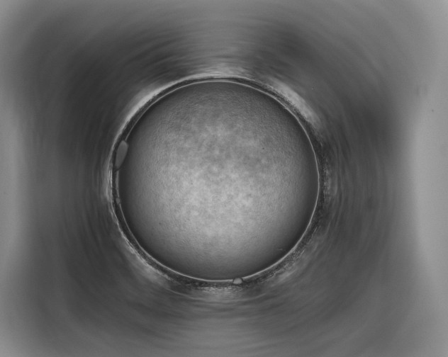 X0000116641468200912141225