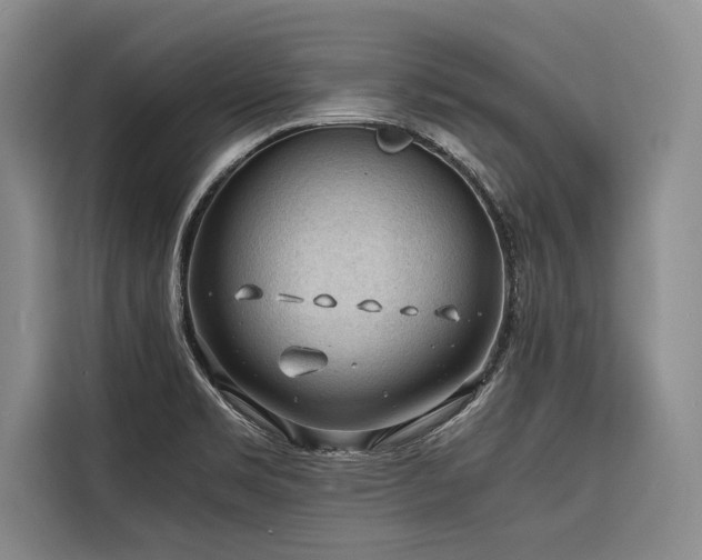 X0000116641469200912141225