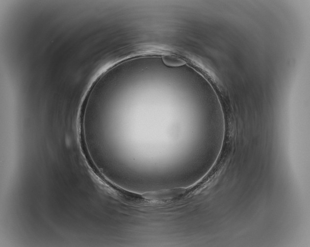 X0000116641471200912141225