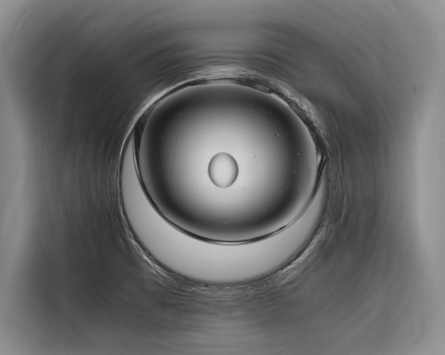 X0000116641473200912141225