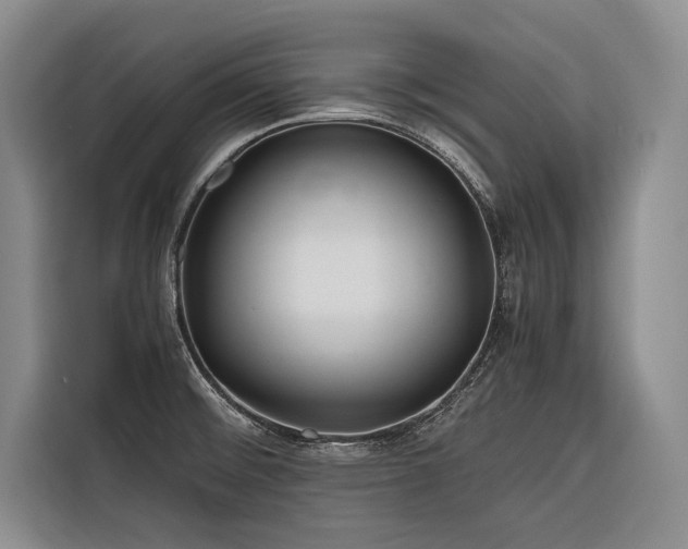 X0000116641476200912141225