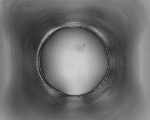 X0000116641478200912141225