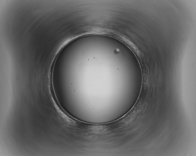 X0000116641479200912141225