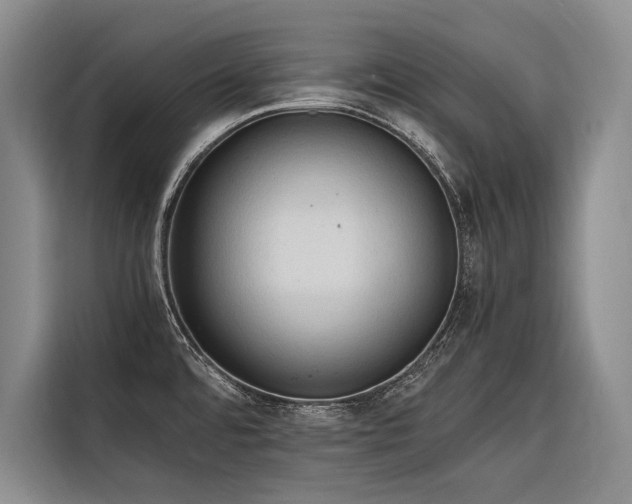 X0000116641480200912141225