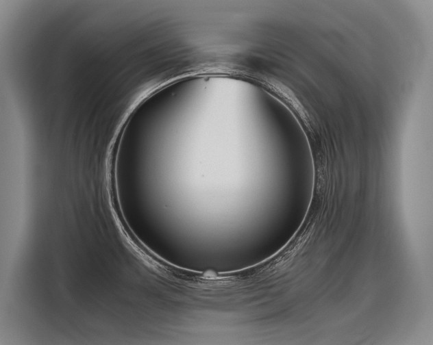 X0000116641483200912141225