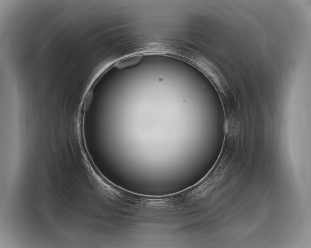 X0000116641484200912141225