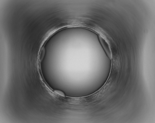 X0000116641485200912141225