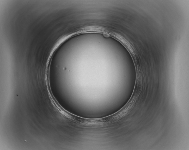 X0000116641486200912141225