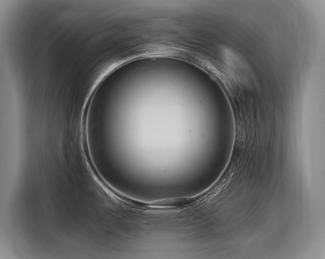 X0000116641487200912141225