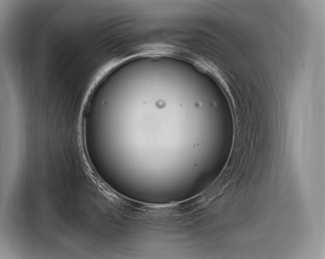 X0000116641488200912141225