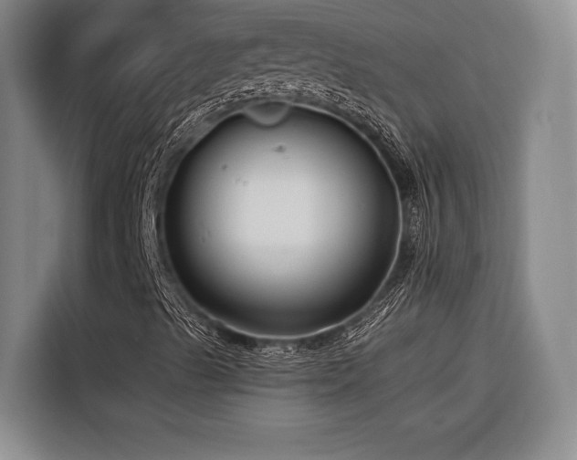 X0000116641489200912141225