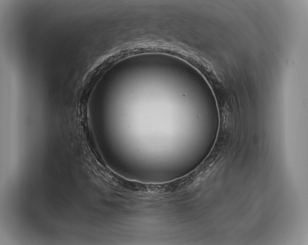 X0000116641494200912141225